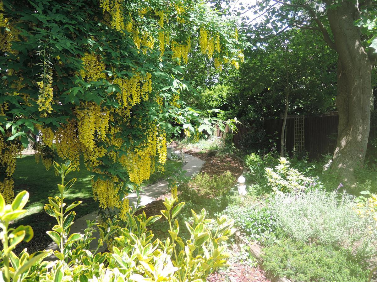 Tresillian House Bed & Breakfast Melton Mowbray Luaran gambar