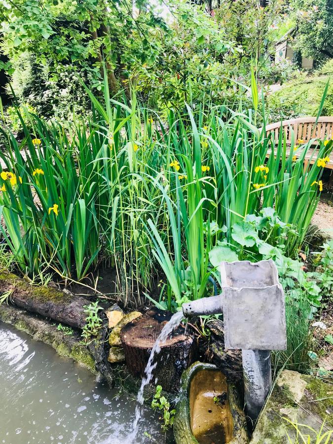 Tresillian House Bed & Breakfast Melton Mowbray Luaran gambar