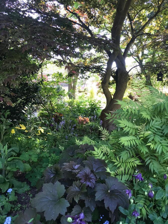 Tresillian House Bed & Breakfast Melton Mowbray Luaran gambar