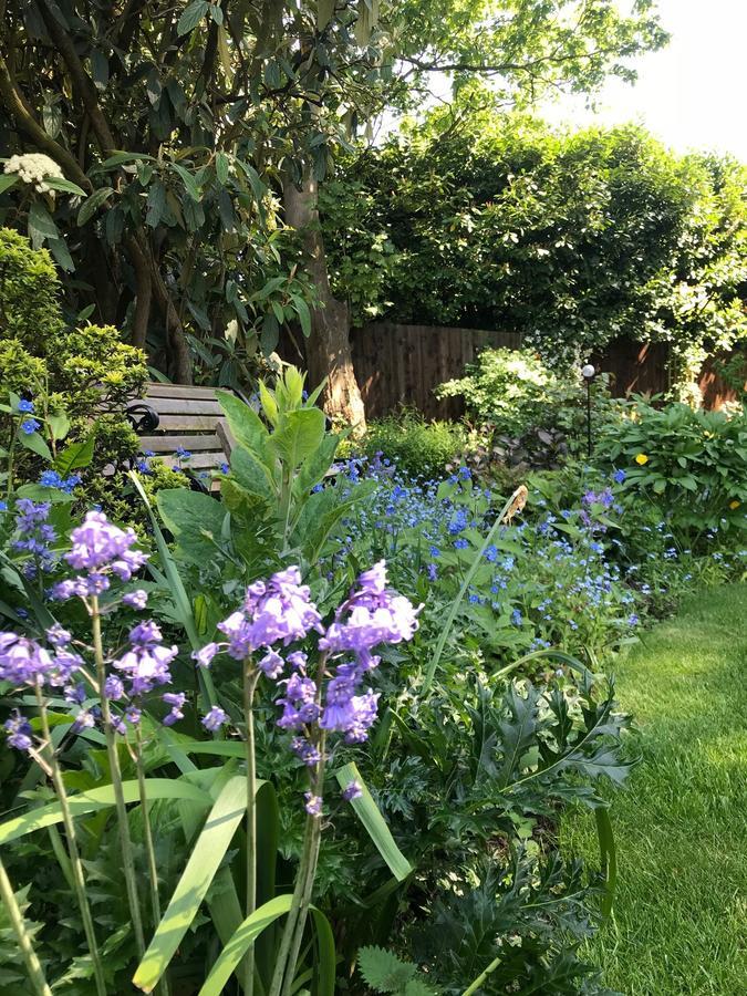 Tresillian House Bed & Breakfast Melton Mowbray Luaran gambar